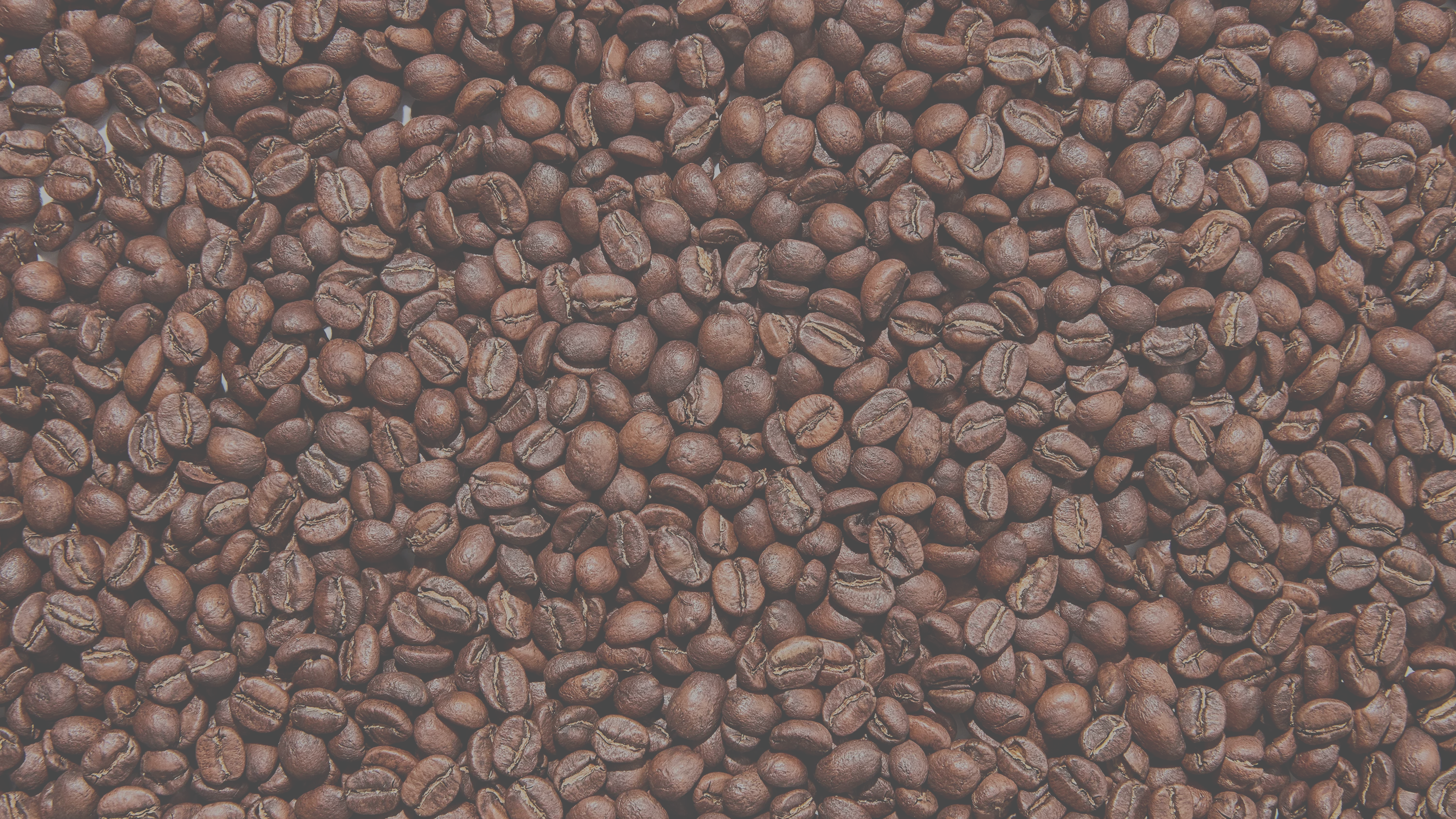 coffee bean background, local coffee roaster near me